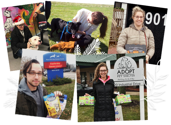 collage of mx employees donating supplies and posing with rescued animals
