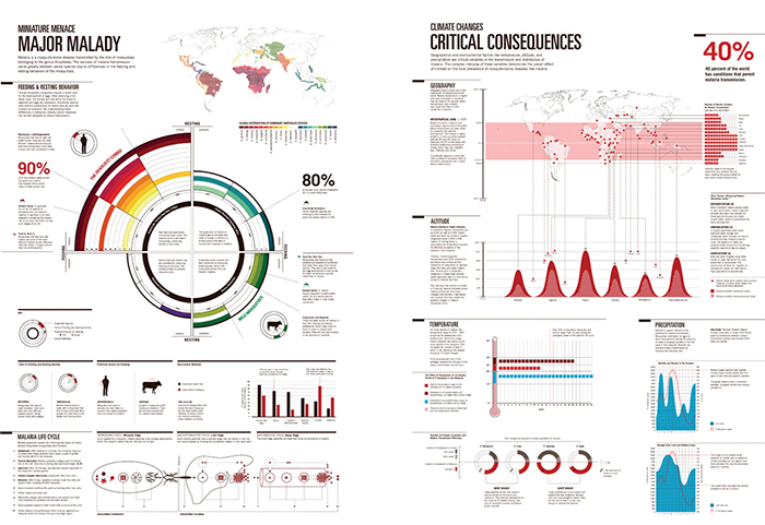 Malaria infographic